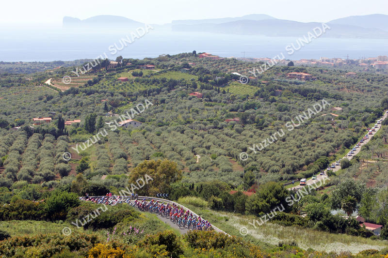 Peloton on Villanova Monteleone001p.jpg